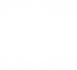 desarrollador de paginas web y posicionamiento en seo.